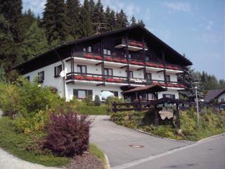 Pension Haus Inge - Zwiesel - 0