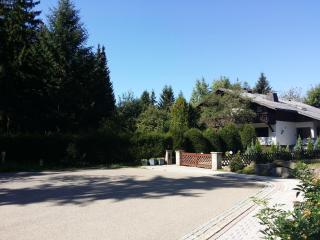 Schwarzwald - Villa Appartments Titisee - Titisee-Neustadt - 6