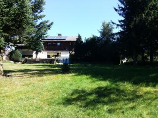 Schwarzwald - Villa Appartments Titisee - 1