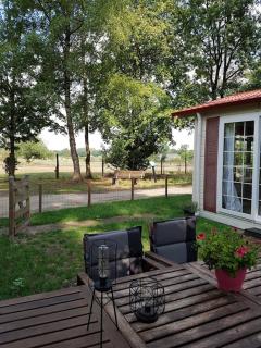 Woudthuisje - Laag-Soeren - 9