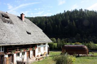 Igluhut Tiny House Winterberghof - Vöhrenbach - 7