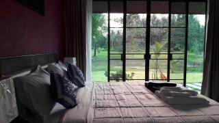 Raintree Bangsak - Khao Lak - 5