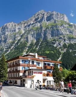 Hotel Spinne Grindelwald - Grindelwald - 3