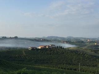 Cascina Baresane - 5