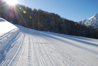 Residence La Tana del Ghiro - Bardonecchia - 5