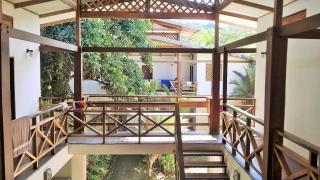 Pagalù Hostel - Puerto Viejo - 4