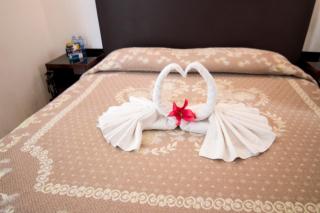 Hotel Ross - Morelia - 8