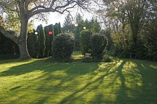 Walnut Grove Lodge - Christchurch - 0