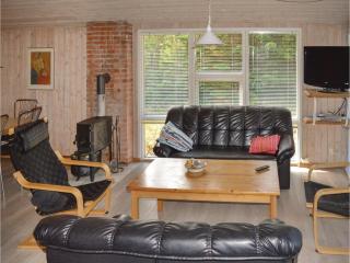 Holiday Home Nornensvej Jerup X - 3