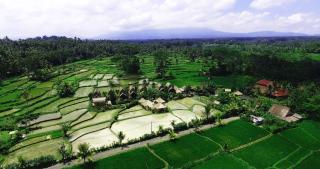 De Klumpu Bali Eco Tradi Stay - Bangli - 8