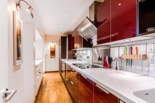 Garden Apartment in Central London - Londra - 4