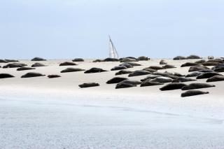 BORKUMUNTERKUNFT - WOH4 - IM HERZEN DER INSEL - Borkum - 4