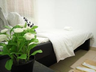 A Ted House @ Damansara Perdana - Petaling Jaya - 3