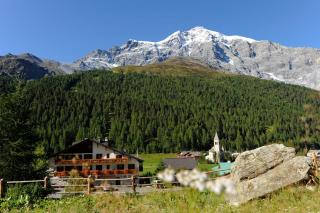 Hotel Sport Robert - Sulden - 0