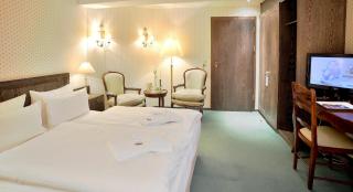 Stadthotel Patrizier - Schmalkalden - 7