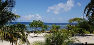 Arora Inn - Maafushi - 3