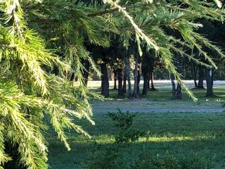 Domaine de Bracciole - Corte - 3