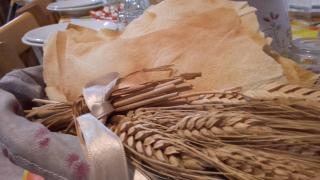 Agriturismo Iloghe - 1