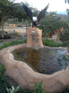 Rhurhy Guest House - Acornhoek - 5