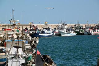 Vinaròs junto al mar - Vinarós - 6