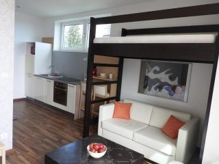 Štrbské Pleso rezidencia Oliver - apartmán 16A - Štrbské Pleso - 5
