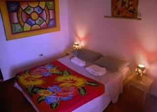 Hostel La Ballena Backpacker - 1