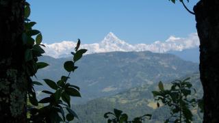 Dinesh House - Pokhara - 6