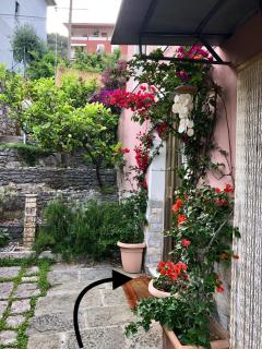 onde house casa vacanze Le Grazie - Portovenere - 7