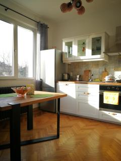 Sunny Downtown Apartment for 4 - 7