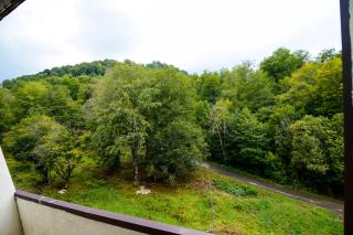 Haystack Bakuriani apartment 119 - 3