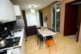 Haystack Bakuriani apartment 119 - Bakouriani - 7