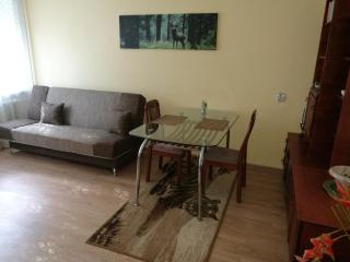 Tėjos guest house - 1