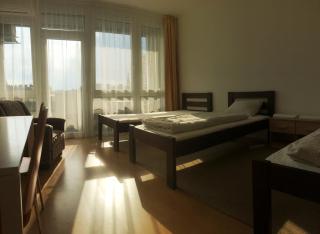 Szelestey utcai apartman (Szombathely) - Szombathely - 3