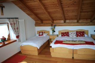 Agritur Dalaip dei Pape - Fiera di Primiero - 6