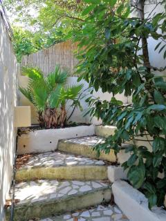 petite maison dans le parc national des calanques - 8