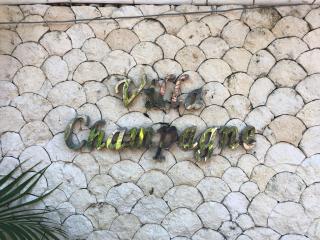 Villa Champagne - Seminyak - 9