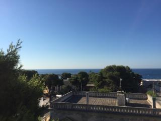 Casa la Mimosa - Santa Maria di Leuca - 9