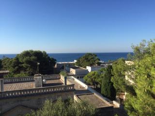 Casa la Mimosa - Santa Maria di Leuca - 8