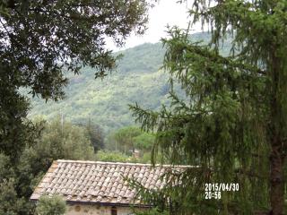 Casa vacanza montecapino - Chiusdino - 2
