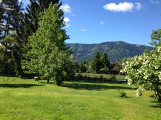 Ferienwohntraum Haller - 7