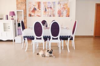 Jardines de Las Marinas - Royal Suite - Dénia - 6
