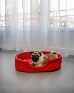 COLORS Ladadika Thessaloniki - 3