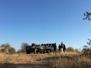 Toro Yaka Bush Lodge - Hoedspruit - 2
