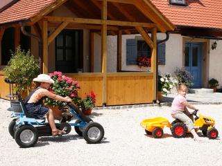 Bio-Ferienhof Scheckenbauer - Höttingen - 8
