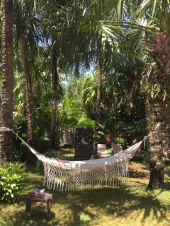 Hotel Lunata - 5th Avenue - Playa del Carmen - 7