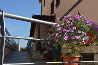 I Narcisi - Roccaraso - 9