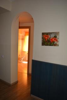 I Narcisi - Roccaraso - 2