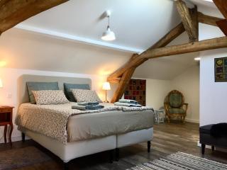 Boutique Farmhouse Cottages with Pool, 6 Bedrooms - Angulus Ridet (Loire Valley) - Chaveignes - 5