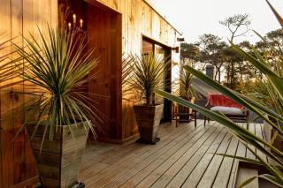 Wood House - José Ignacio - 9
