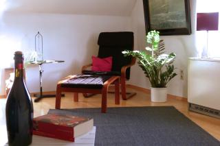 Fabys Ferienwohnung - Twielenfleth - 1